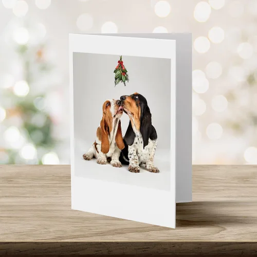 Miniatura 3 de Tarjetas fotográficas de Navidad, Basset Hounds bajo el muérdago (6 tarjetas con sobres blancos), perfectas para alguien especial