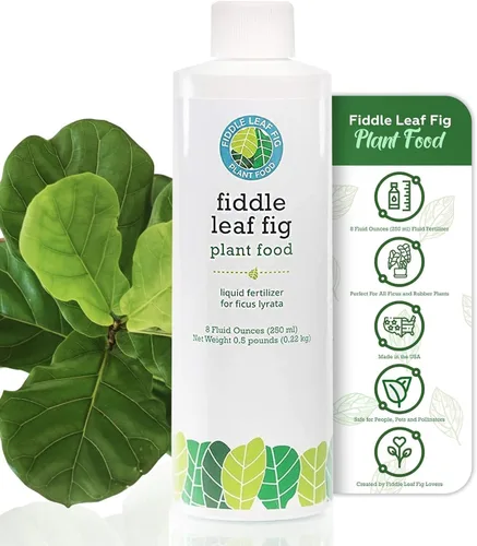 Miniatura 4 de Fiddle Leaf Fig Plant Food – Fertilizante líquido equilibrado NPK 3-1-2 para hojas más grandes, raíces más fuertes y crecimiento constante