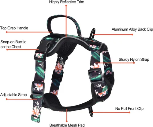 Miniatura 2 de Petmolico Arnés para perros pequeños, bonito arnés con dos clips para correa y mango suave, chaleco reflectante para cachorros fácil de caminar