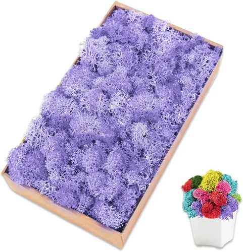 Miniatura 9 de Musgo de reno amarillo preservado de 3.5 onzas para plantas en maceta, decoración artesanal para arte de pared, musgo falso para decoración