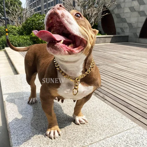 Miniatura 2 de Cierres de langosta fuertes ajustables para perros, collar de titanio, para entrenamiento, caminar, de metal, a prueba de masticación, para perros