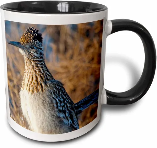 3dRose Roadrunner bird, Bosque del apache NWR, New Mexico-US32 CHA0044-Chuck Haney - Taza de dos tonos, 11 onzas, negro/blanco