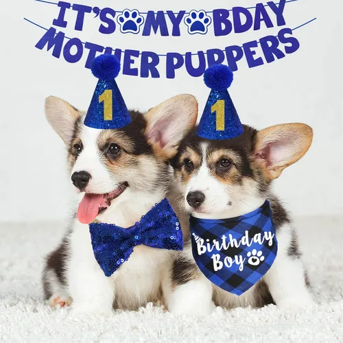 Miniatura 2 de Suministros para fiesta de cumpleaños para perros, sombrero de cumpleaños para perro de varios tamaños con números, bandana, pajarita, cartel