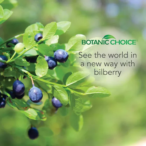 Miniatura 7 de Botanic Choice Extracto líquido sin alcohol de arándano, 1 onza líquida