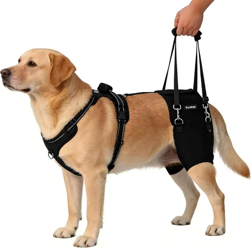 Soporte de cadera para perro para displasia de cadera y artritis, envoltura de soporte ajustable con almohadillas extraíbles, asa de elevación y