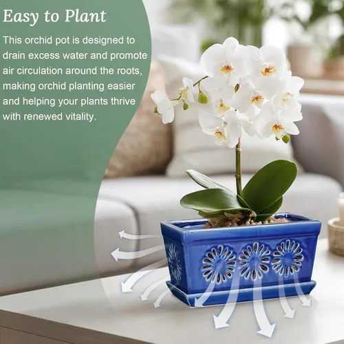 Miniatura 5 de EFISPSS Maceta de orquídea de 10 pulgadas, macetas de cerámica para orquídeas con agujeros, macetas de interior con drenaje y platillo, macetas