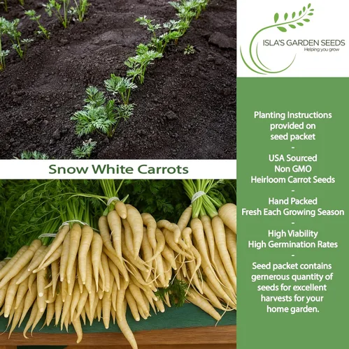 Miniatura 2 de Semillas de zanahoria blancas como la nieve para plantar, más de 350 semillas de reliquia por paquete, semillas de jardín de Isla
