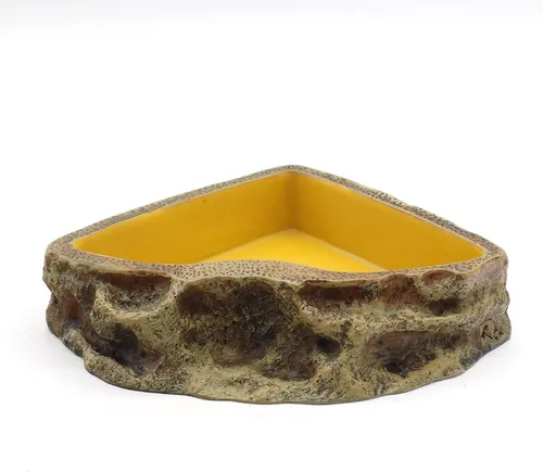 Miniatura 7 de Comedero de reptiles Tazón de resina para anfibios para lagarto Gecko tortuga dragón barbudo