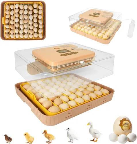 Miniatura 13 de ZEMIRO CHARGE 48 Incubadora de huevos para incubar huevos de gallina, pato, codorniz y loro, con giro automático de huevos y control de humedad