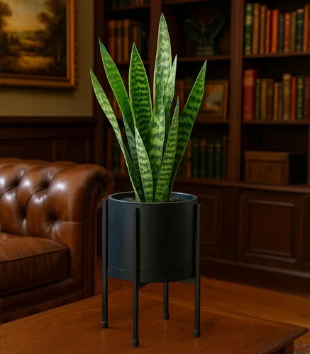 Miniatura 6 de D'vine Dev Maceta negra de 8 pulgadas con soporte, moderna maceta cilíndrica de plástico con soporte de metal resistente para plantas