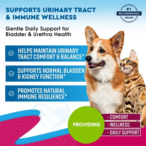 Miniatura 2 de Tratamiento de Infección del Tracto Urinario para Gatos y Perros y Medicina Natural para UTI con Arándano y D-Manosa - Soporte para Riñón + Vejiga