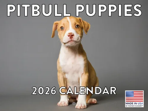 Miniatura 104 de Calendario de pared mensual 2025 Great Dane de 12 meses, fabricado en Estados Unidos