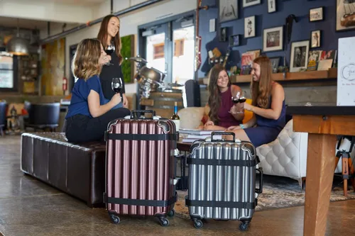 Miniatura 8 de VinGardeValise Maleta de viaje para vino, hasta 12 botellas (plata) con placa de identificación personalizada para equipaje