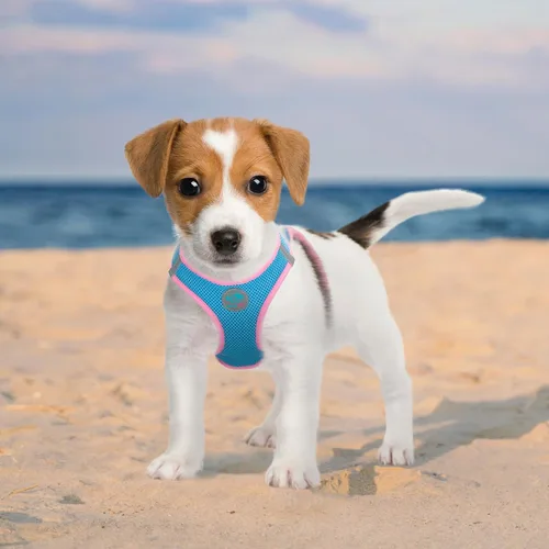 Miniatura 3 de PHOEPET Arnés para perro, arnés reflectante ajustable para perro, chaqueta suave para caminar para mascotas con 2 ganchos de metal para correa