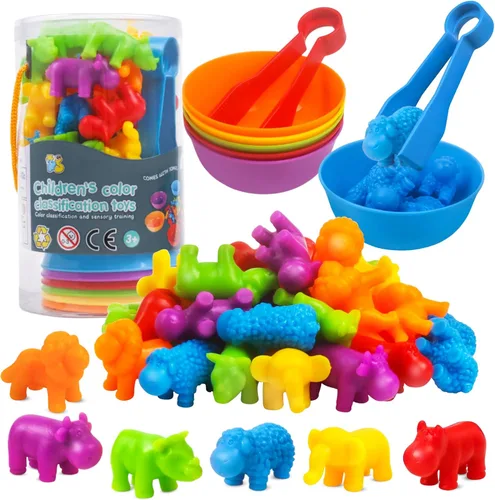 RAEQKS Juguetes de clasificación de conteo, juguetes apilables a juego con tazones, actividades de aprendizaje preescolar, juego sensorial educativo