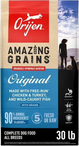 Miniatura 13 de ORIJEN Amazing Grains - Alimento seco para perros con alto contenido de proteínas, receta original, bolsa de 22.5 libras
