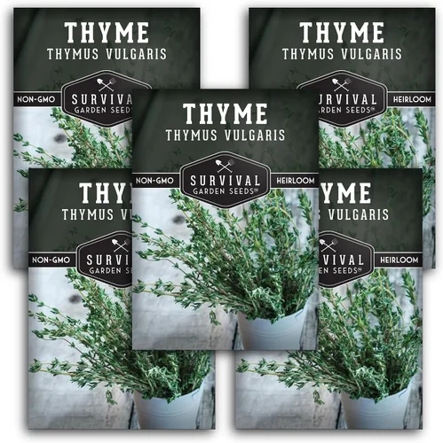 Miniatura 12 de Semillas de tomillo para plantar en interiores o exteriores, semillas de tomillo inglés (Thymus Vulgaris) para jardines de hierbas del hogar