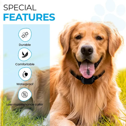 Miniatura 3 de eCollar Correa de repuesto estilo bungee – Collar de poliuretano impermeable compatible con Garmin, Dogtra, SportDOG, Educator