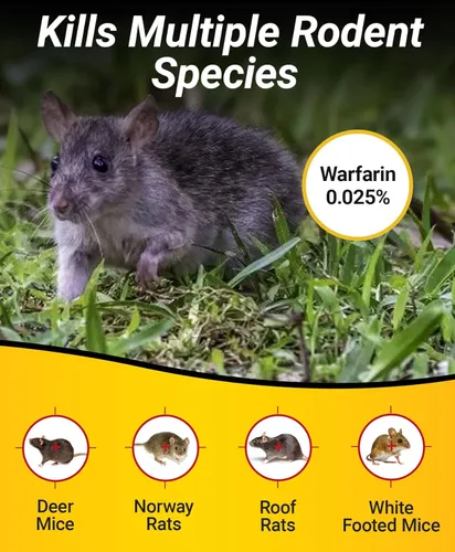 Miniatura 4 de Kaput Bloques para Ratones, Cebo para Roedores para Ratones y Ratas, Veneno para Topos Warfarina para Uso en Interiores/Perímetro, Mata Roedores
