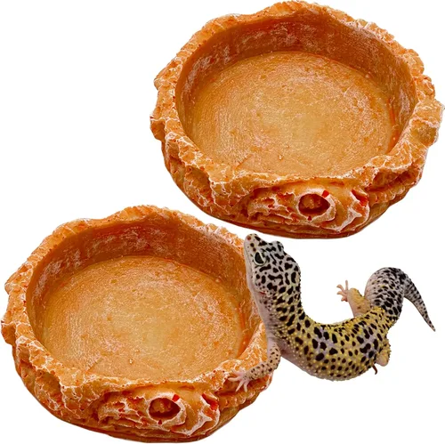 Miniatura 8 de Plato de agua para reptiles, cuencos de dragón barbudo, paquete de 2 cuencos de comida para reptiles para cangrejo ermitaño, dragón barbudo