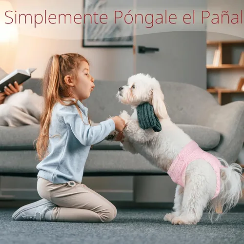 Miniatura 7 de Ambreview Pañales desechables para perras, simplemente tíralos hacia arriba, pañales para perras, alta absorbencia a prueba de fugas, para perras