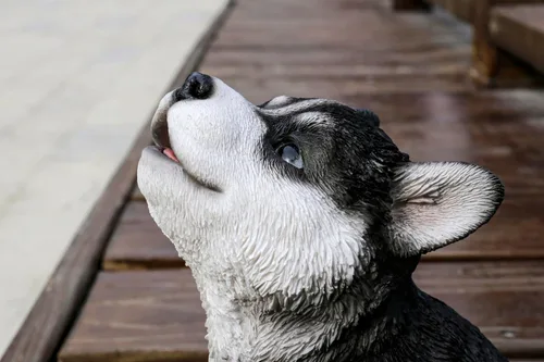 Miniatura 6 de Husky Siberiano Cachorro Aullando