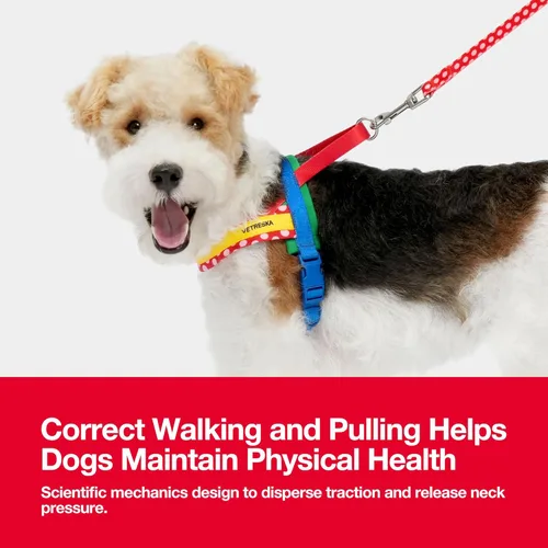 Miniatura 6 de VETRESKA MoMA Arnés para Perro para Perros Medianos y Grandes, Conjunto de Arnés y Correa Easy Walk para Perro, Arnés Tipo Chaleco Sin Tirones