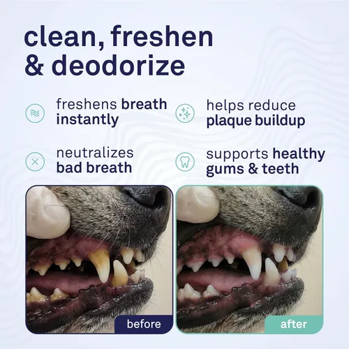 Miniatura 2 de Petpost Fresh Breath Foam for Dogs - Solución dental con sabor a menta y manzana que elimina el mal aliento - Tratamiento de limpieza dental