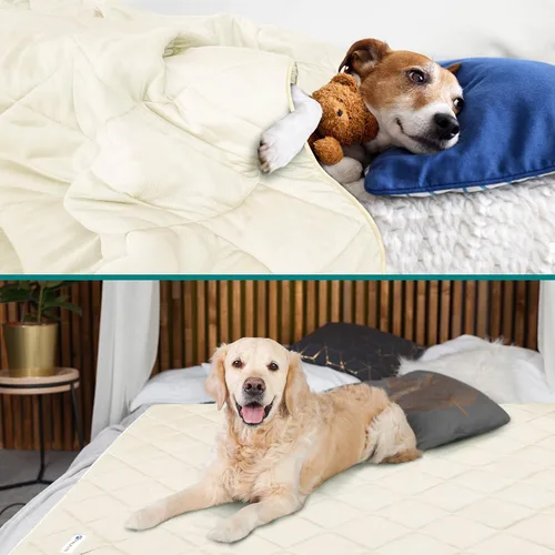 Miniatura 2 de PetAmi Manta Refrigerante Premium para Perros Manta Ligera y Esponjosa para Mascotas, Funda de Cama para Perros, Gatos y Cachorros Manta