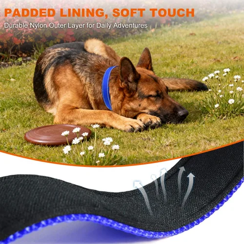 Miniatura 4 de Taglory Collar de perro personalizado con placa de nombre, placas de identificación de mascotas personalizadas, sin ruido, collares reflectantes