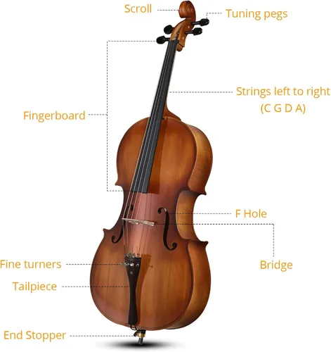 Miniatura 3 de Vasitelan Violonchelo acústico 4/4, violonchelo acústico de tamaño completo con funda acolchada, cuerda extra, puente, arco y colofonia para adultos