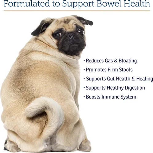 Miniatura 4 de Rx Vitamins NutriGest Cápsulas para gatos y perros - Probióticos para la salud digestiva mejorados con glucosamina para apoyo a la salud intestinal