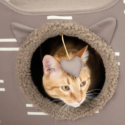 Miniatura 13 de Kitty City Muebles de cubo para gatos de interior, cubo gris A) Cubo de gato (gris)