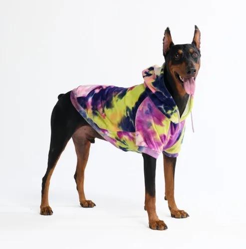Miniatura 122 de Spark Paws Sudadera con capucha para perro, suéter de primera calidad para perros pequeños, medianos y grandes Trajes cálidos para bulldogs