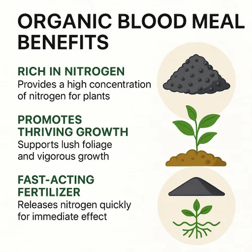 Miniatura 2 de 𝐌𝐄𝐉𝐎𝐑 𝐕𝐄𝐍𝐃𝐄𝐃𝐎𝐑 Fertilizante orgánico de harina de sangre de Gardenera - 12-0-0 NPK - Fuente de alimento vegetal 100% natural de nitrógeno
