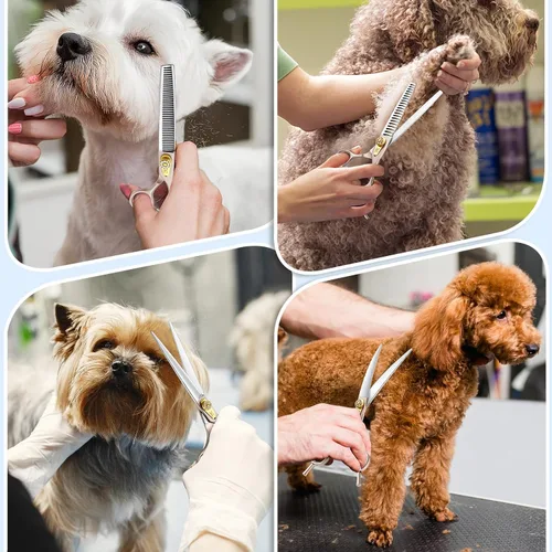 Miniatura 2 de JASON Juego de tijeras de aseo para perros, tijeras profesionales 6 en 1 para perros, juego de tijeras afiladas – 7 pulgadas de adelgazamiento