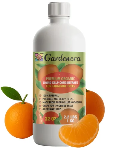 Miniatura 16 de GARDENERA Superalimento orgánico prémium de algas marinas y algas marinas para plantas AGLAONEMA, 8 onzas, concentrado de fertilizante líquido