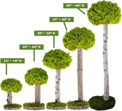 Miniatura 7 de Plantas reales sin riego, diseño artístico de musgo preservado y decoración, arreglo de plantas verdes naturales para interiores para el hogar