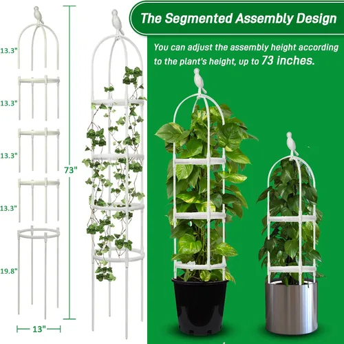 Miniatura 3 de Enrejado de jardín para plantas trepadoras, tubo de metal inoxidable con soporte resistente de 6 pies, soporte para plantas en maceta para jardín