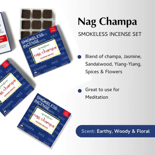 Miniatura 2 de Ladrillos y quemador de incienso Nag Champa - Super Set