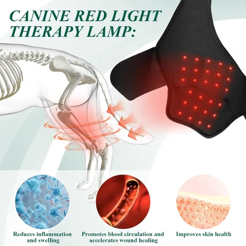 Miniatura 2 de Rodillera para perros – Soporte para problemas de ligamento cruzado anterior y articulaciones de rodilla con terapia de luz infrarroja roja, alivio
