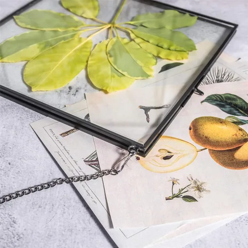 Miniatura 5 de NCYP Marco flotante de vidrio colgante para flores secas prensadas, fotos, imágenes, especímenes de plantas pequeñas, 8 x 8 pulgadas, negro