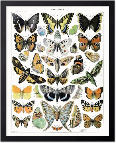Miniatura 93 de Poster Master Póster vintage de miel, impresión retro de La Vie De L'Abeille, arte de panal de abeja, arte de pared de abeja, regalo para hombres