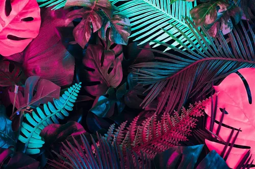 Miniatura 2 de Reyhui - Papel tapiz tropical de hojas de plátano, mural de pared de hoja de plátano, papel tapiz para pared de planta colorida, mural de pared