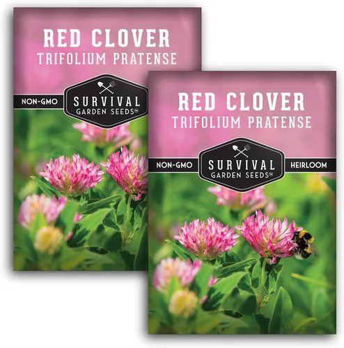 Miniatura 10 de Survival Garden Seeds - Semilla de trébol rojo para plantar - 1 paquete con instrucciones para plantar y cultivar una hierba medicinal y una