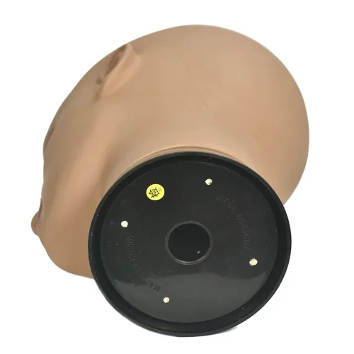 Miniatura 6 de Ba Sha Cabeza de maniquí de cosmetología afro, cabeza de maniquí calva para hacer pelucas, sombrero, exhibición de gafas con abrazadera gratuita