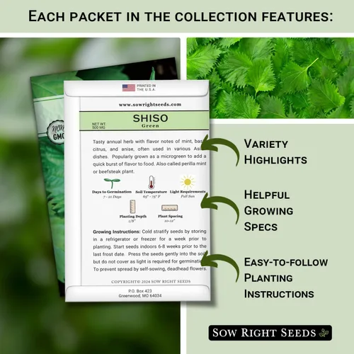 Miniatura 2 de Sow Right Seeds - Colección de semillas Shiso para plantar - Incluye verde y morado - Variedades tradicionales sin OMG - Hojas de perilla japonesas