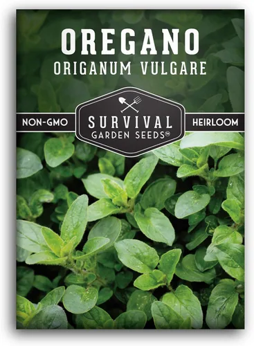 Semillas de orégano para plantar – Hierba culinaria Origanum Vulgare para platos italianos – Cultiva en interiores o exteriores para un sabor fresco