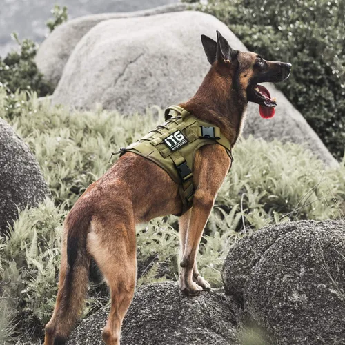 Miniatura 6 de Arnés táctico para perro, arnés de cuerpo completo para perro con mango, chaleco resistente para perro para senderismo, entrenamiento, perros