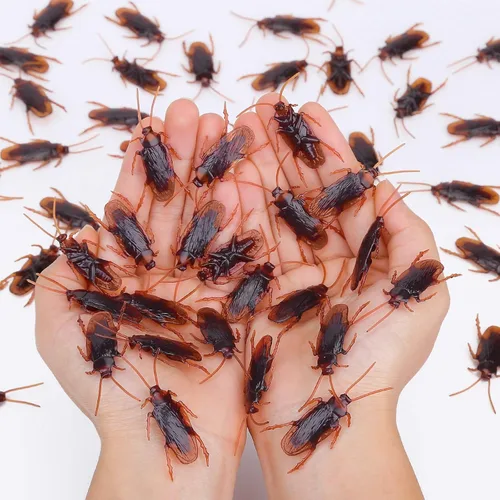 Miniatura 8 de Riomeira Cucarachas Falsas Premium, Cucarachas Falsas Bastante Realistas, Excelente Manera de Hacer una Broma, Cucarachas Falsas Realistas